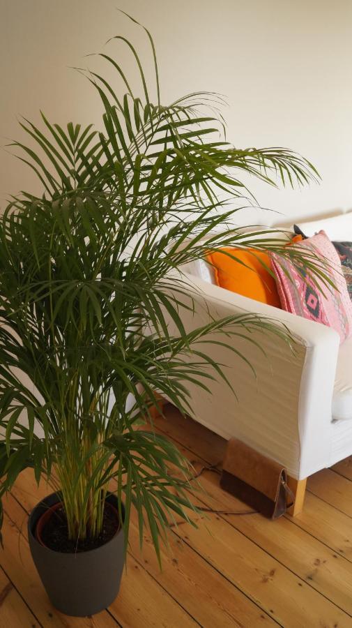 Les Terrasses De Templeuve Bed and Breakfast Εξωτερικό φωτογραφία